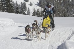 Kandersteg 2013